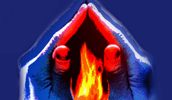 leistungen_brandschutz_05_leistungen