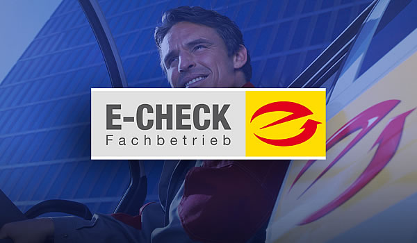 leistungen_echeck_02_informationen