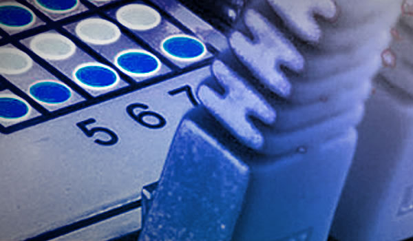 leistungen_netzwerk_06_leistungen